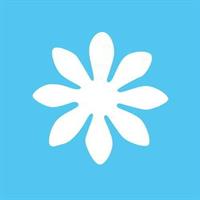 FUSTELLA 16 mm. MARGHERITA - CWR