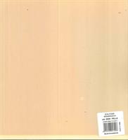 FOGLIO FOAM EVA 40x60 COL. PELLE - WILER