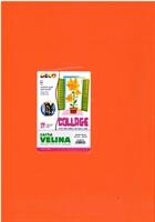 CONF. 24 ff. CARTA VELINA 50X76 cm. 20 gr. COL. ARANCIO - CWR