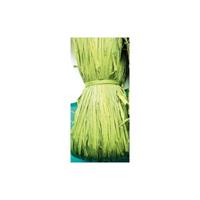 RAFIA NATURALE 50 gr. COL. VERDE ACIDO - CWR