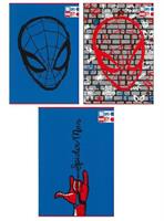 MAXI QUADERNO 100 pg. 100 gr. SPIDERMAN RIGATURA A - MARICART