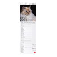 CALENDARIO DA PARETE 16x49 cm. 2026 TEMA CATS - LEGAMI