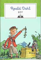 BOY DI ROALD DAHL - SALANI