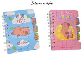 MINI QUADERNO SPIRALATO A RIGHE Z00 TINTAUNITA