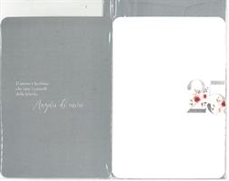 BIGLIETTO 12x18 cm. FELICE ANNIVERSARIO 25 ANNI INSIEME - LINA