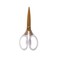 FORBICI OFFICE  16 cm. IMPUFNATURA IN ABS COL. GOLD - COLOURBOOK