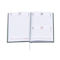 AGENDA GIORNALIERA 17x24 cm. 2027 COL. VERDE MATRA