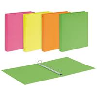 RACCOGLITORE EUROPA 22x30 cm. 4 TONDI Ø 30 COL. FLUO' - FAVORIT