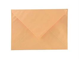 CONF. 250 BUSTE GIALLO POSTA 23x32 80 gr. GOMMATO - BLASETTI